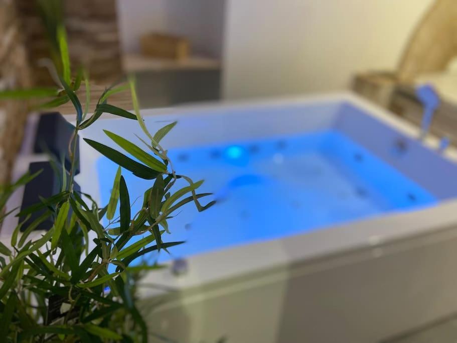 Lover Dose Spa Vierzon Bagian luar foto
